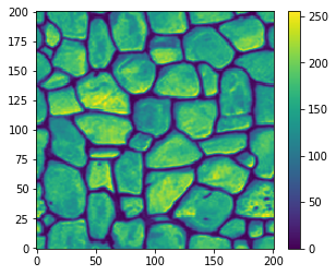 ../_images/Notebooks_ex_training_images_8_9.png